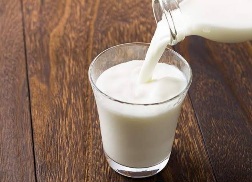 Susu Sapi Original (Hot/Cold)